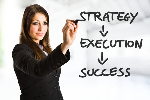 Strategy Execution with The Living Organization®